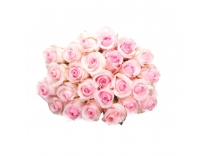 Blooming Love - 24 Stems In Bouquet